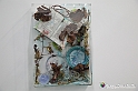VBS_5404 - Artissima 2021